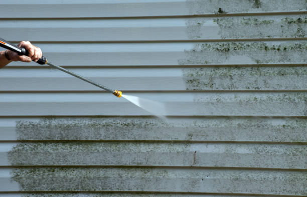 Best Gutter Cleaning and Brightening in Libby, MT